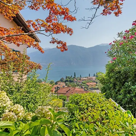 Hébergement de vacances House Antico Ulivo